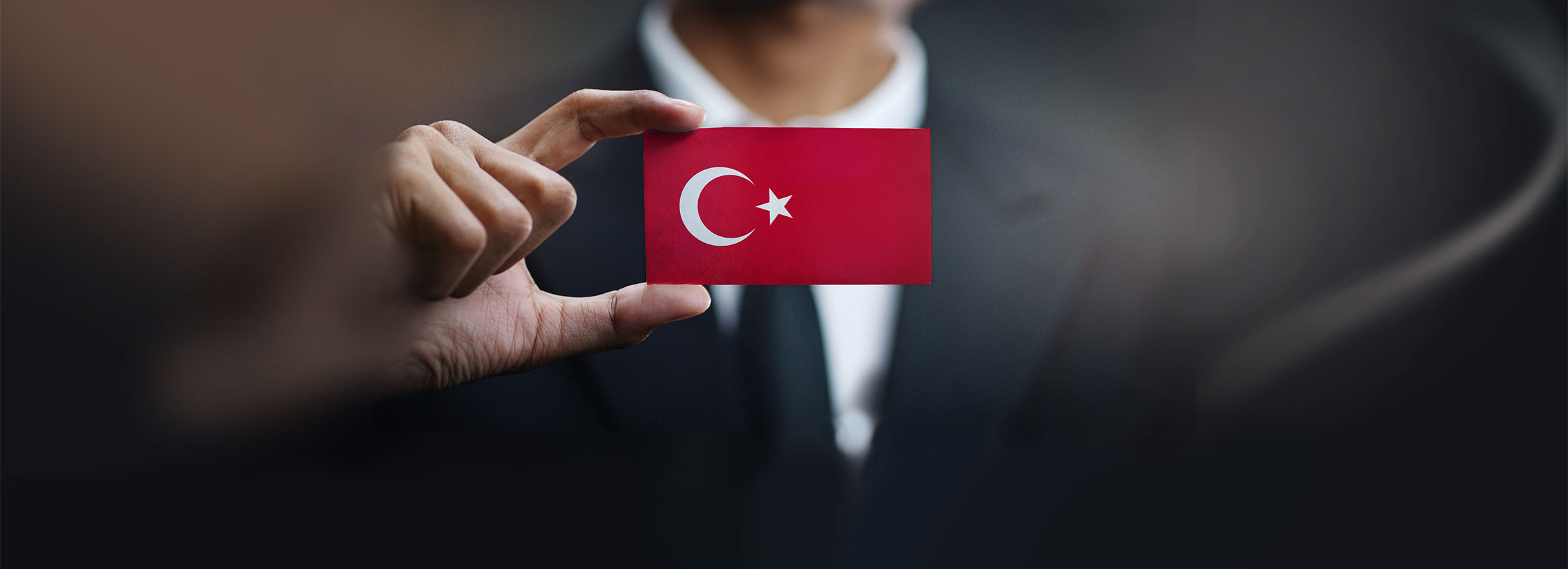 WorkinTurkey WorkinTurkey